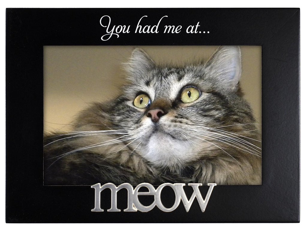 You Had Me At Meow 4x6 Pet Frame