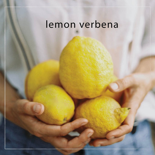Lemon Verbena Kitchen Caddy Set