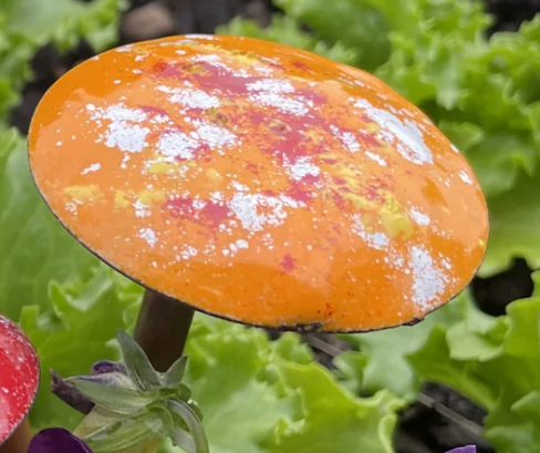Small Enamel Painted Mushrooms