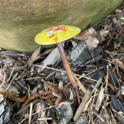 Small Enamel Painted Mushrooms