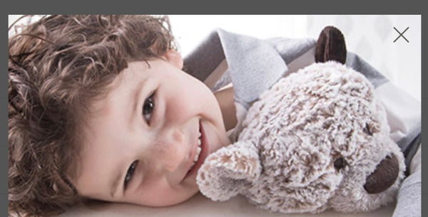 The Giving Collection Plush Comfort Gift