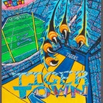 Tiger Town Large Print 24" x 36"