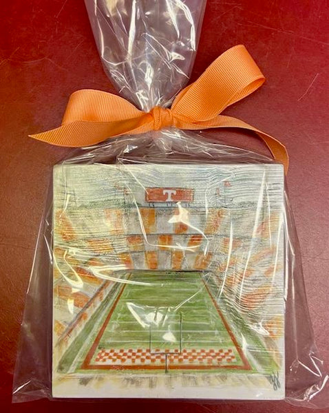 SEC College Stadium Block w/ Easel Georgia Jane Designs