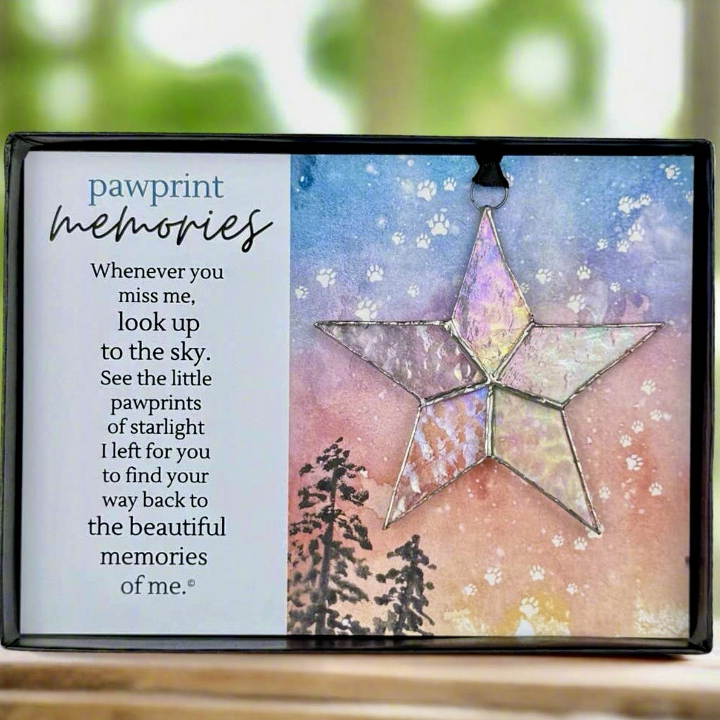 Pet Loss Gift Pawprint Memories Glass Star