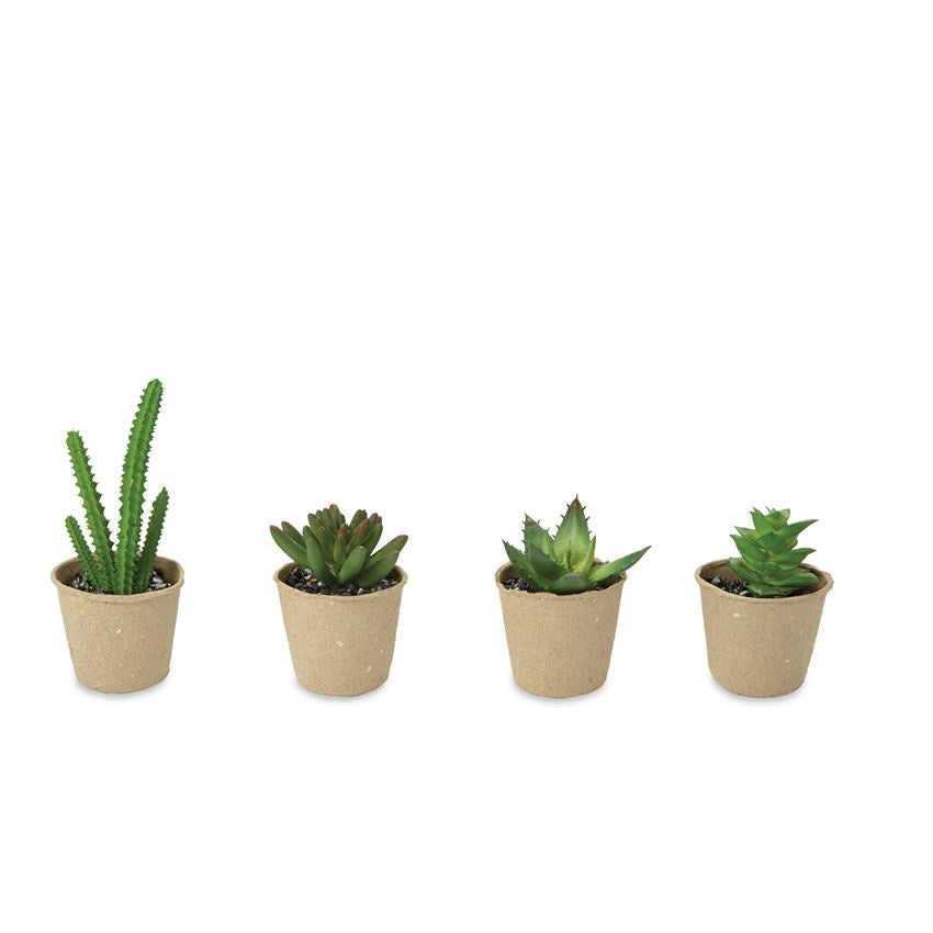 mini potted artificial succulents SUCCULENT PLANT IN POT AST – More Than Words
