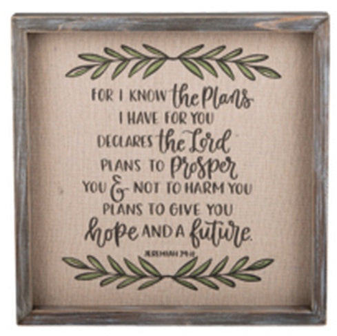 Framed Scripture for I know the plans I have for you