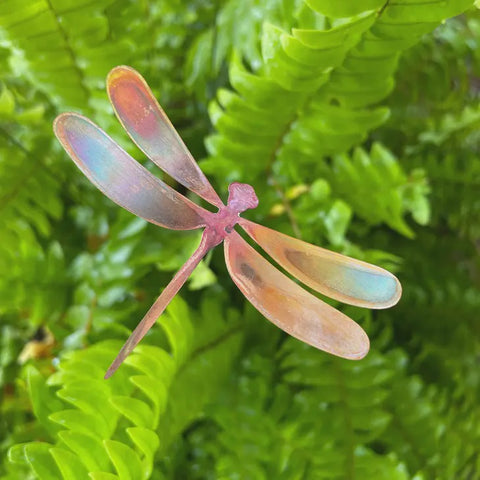 Natural Copper Dragonflies