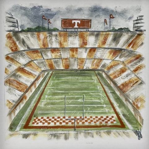 SEC College Stadium Art Prints Georgia Jane Designs