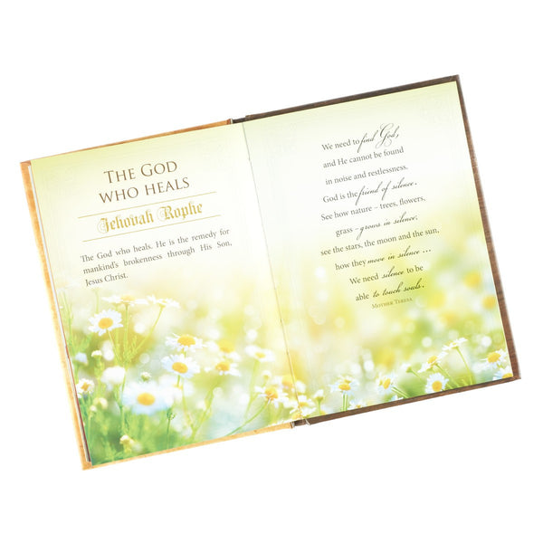 Book Praying the Names of God Hardcover